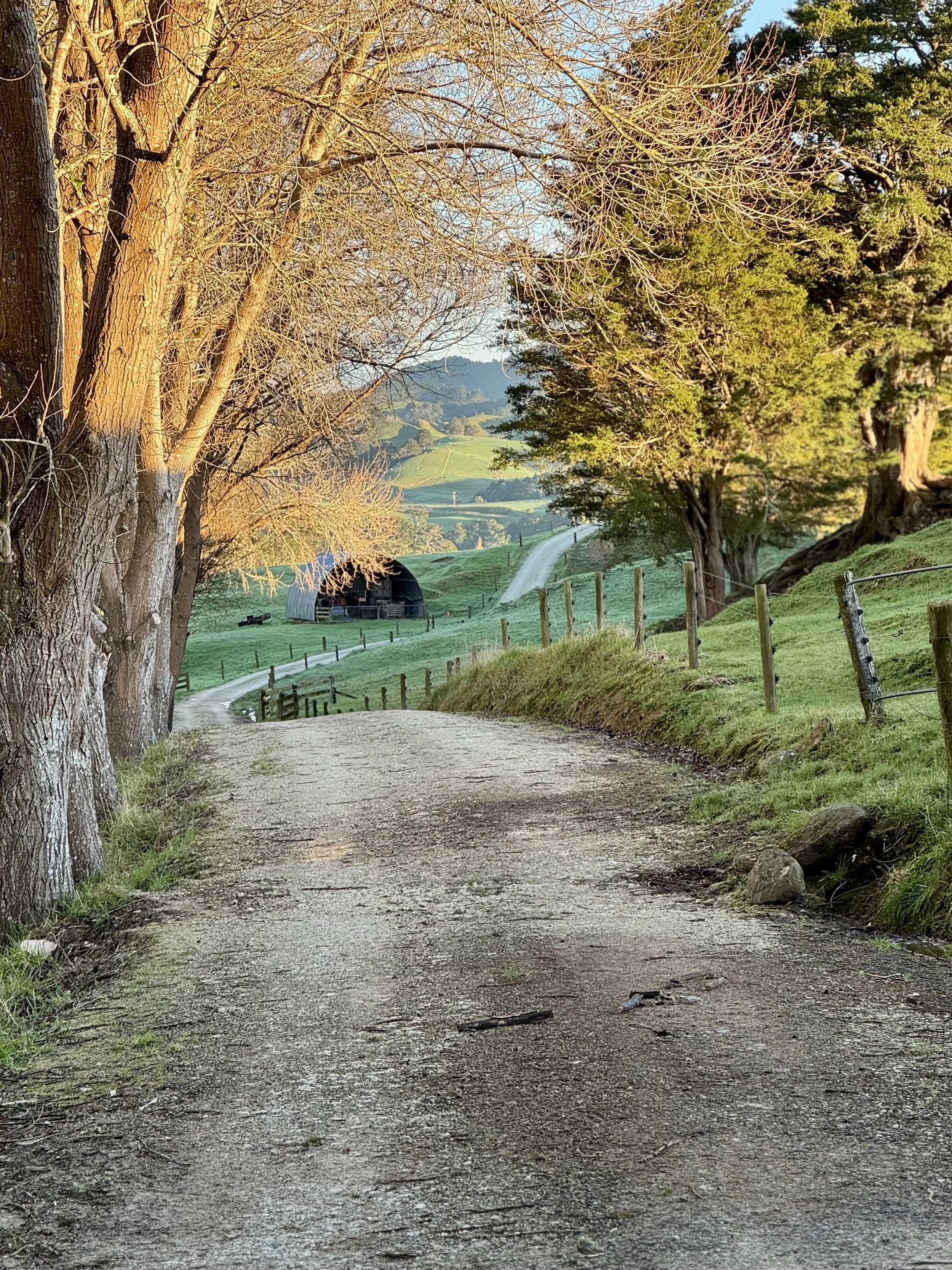 Full-on Invitation to Walk