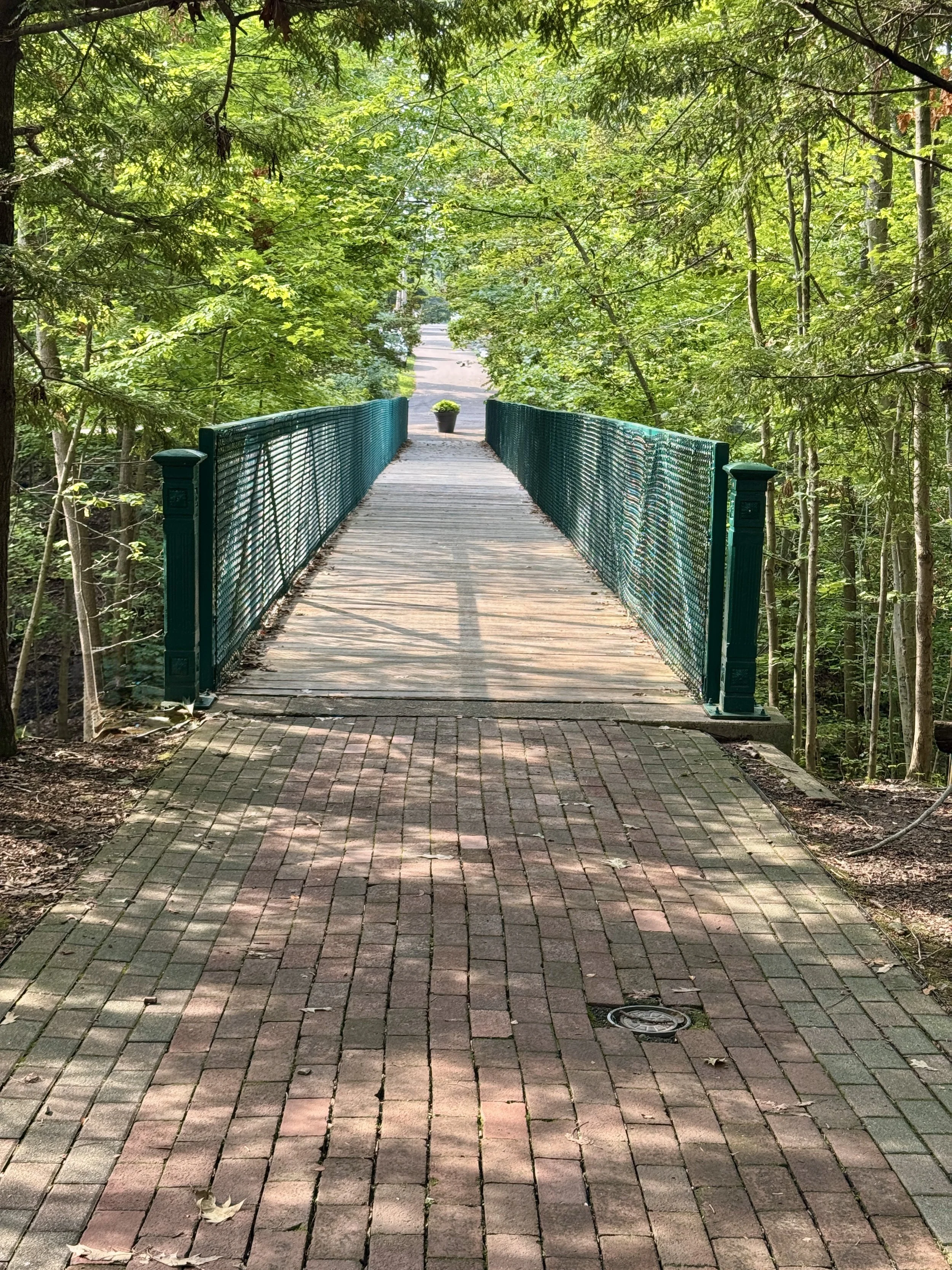 Bridge