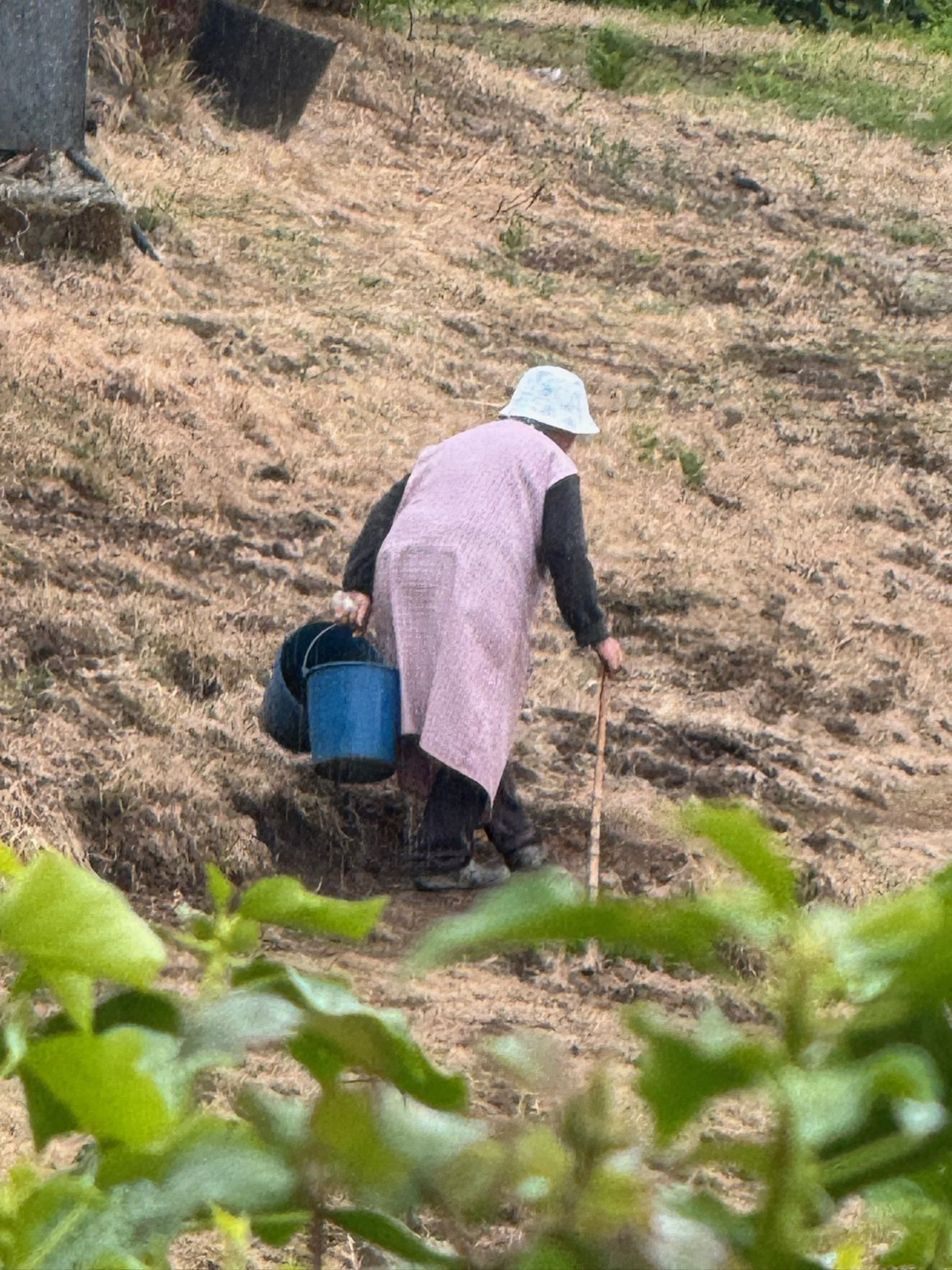 Field Work