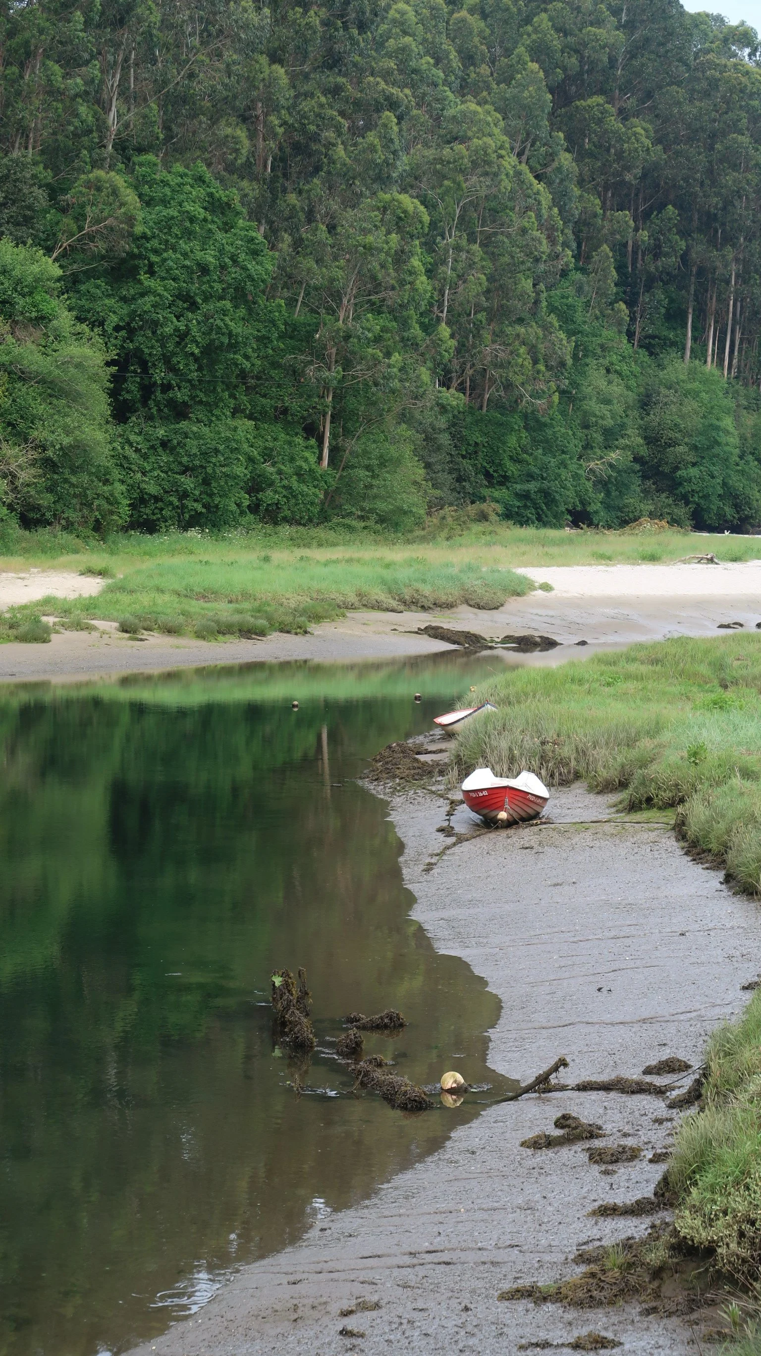 Tide's Out
