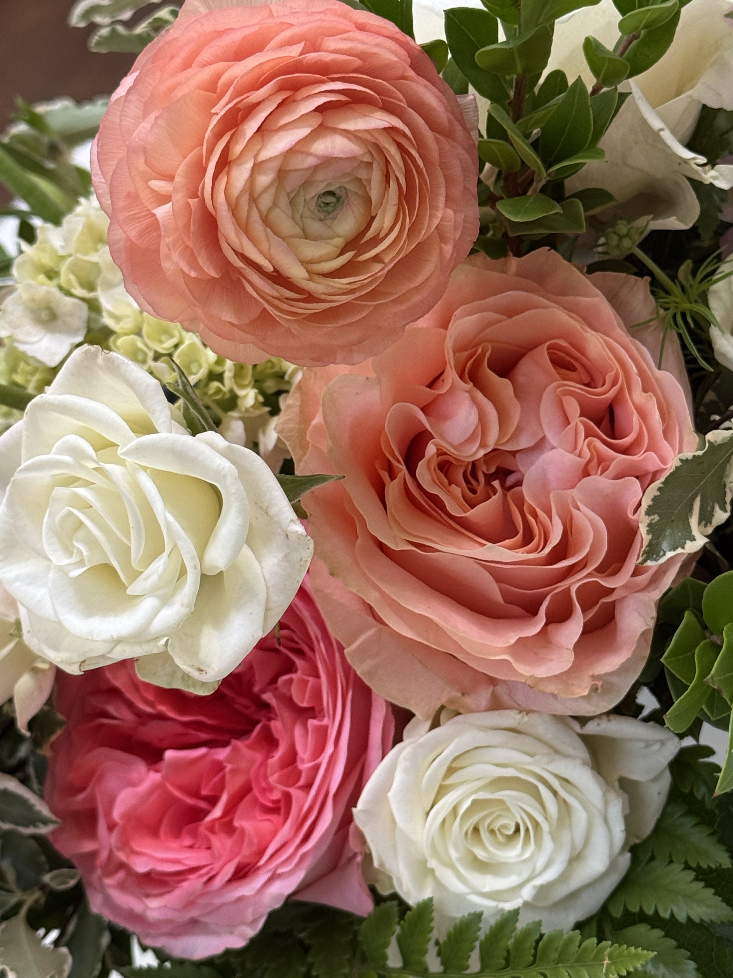 Arranged