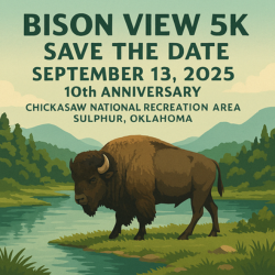 Bison View