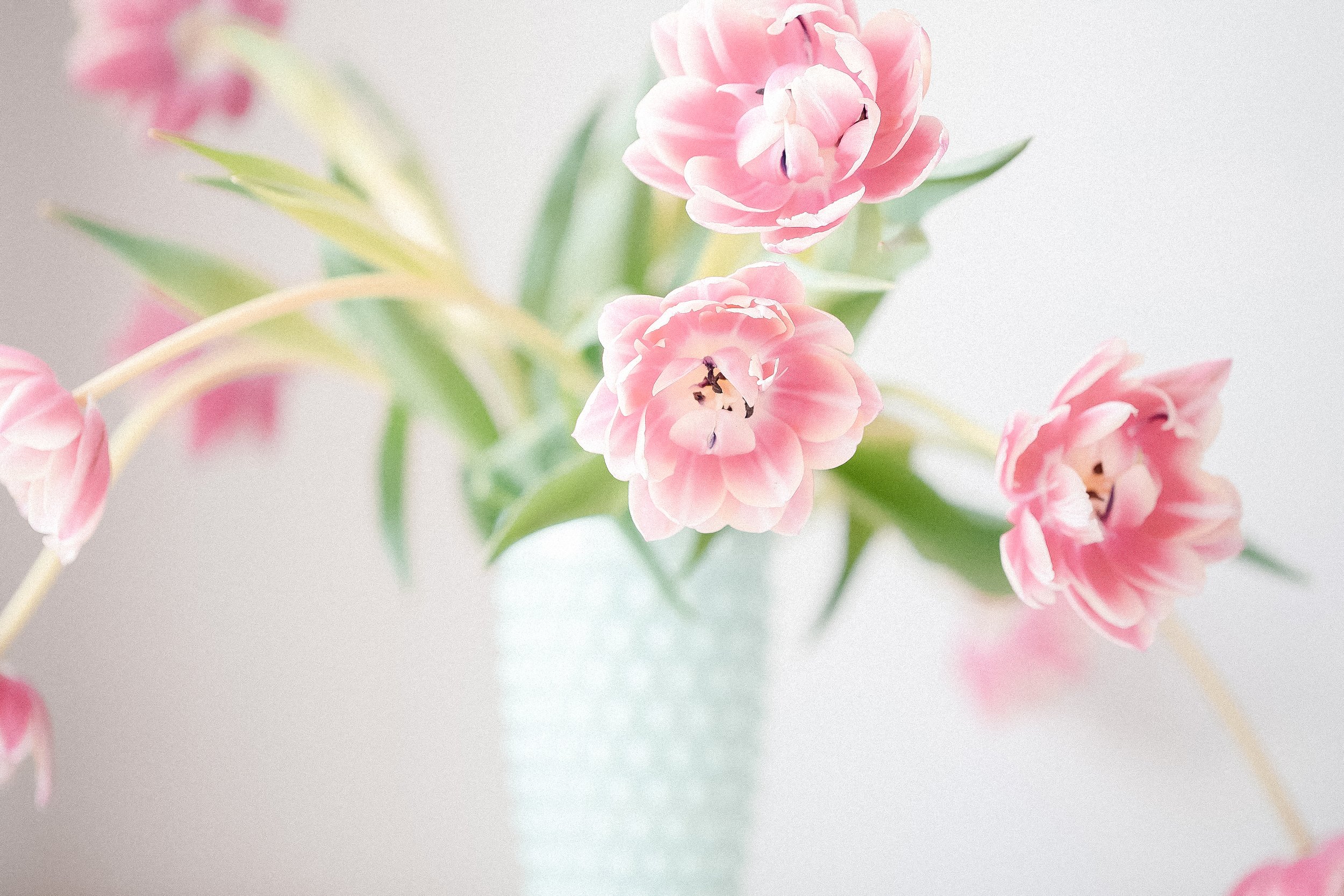 haute-stock-photography-refresh-collection-final-24.jpg