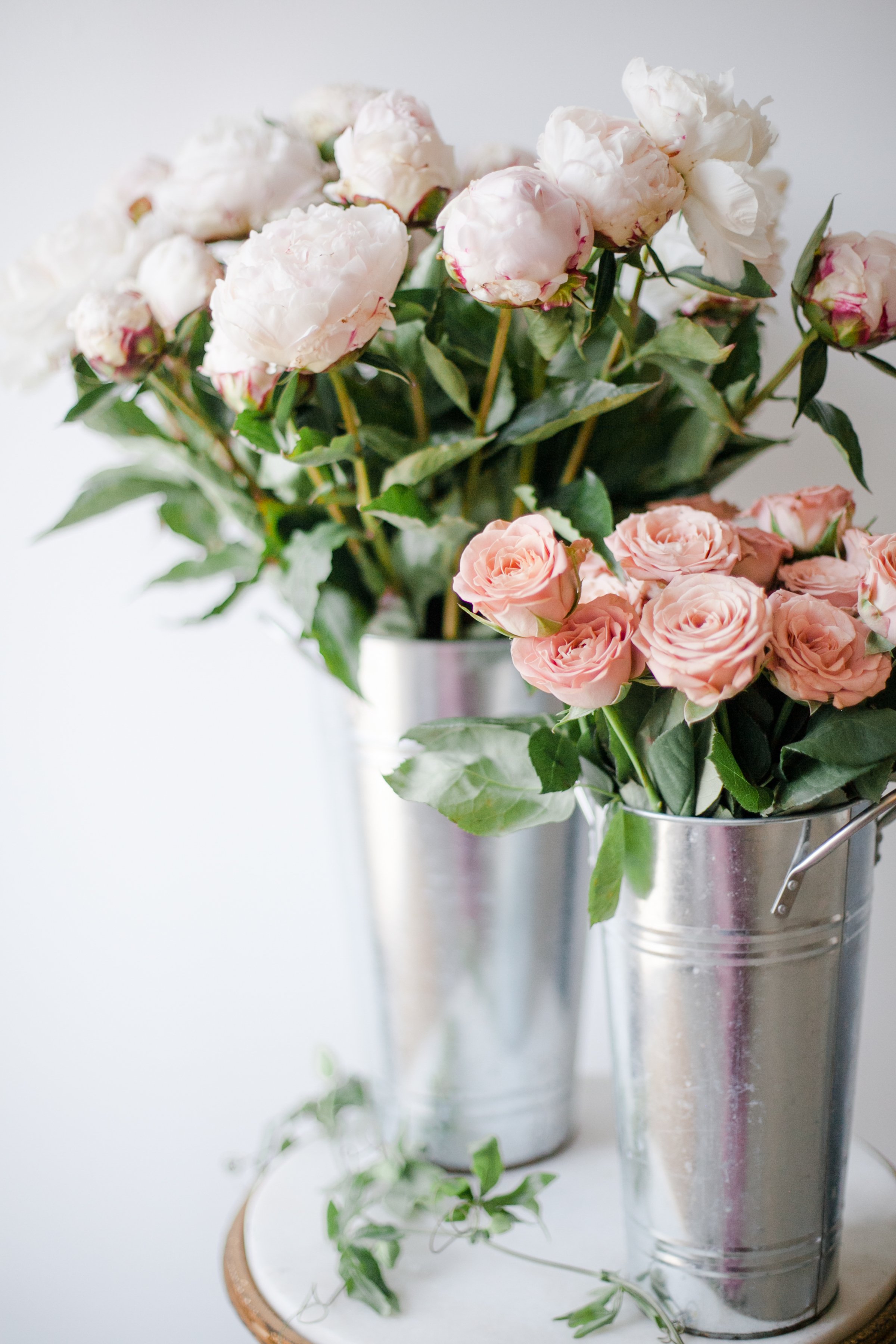 haute-stock-photography-subscriptio-fresh-florals-collection-final-7.jpg