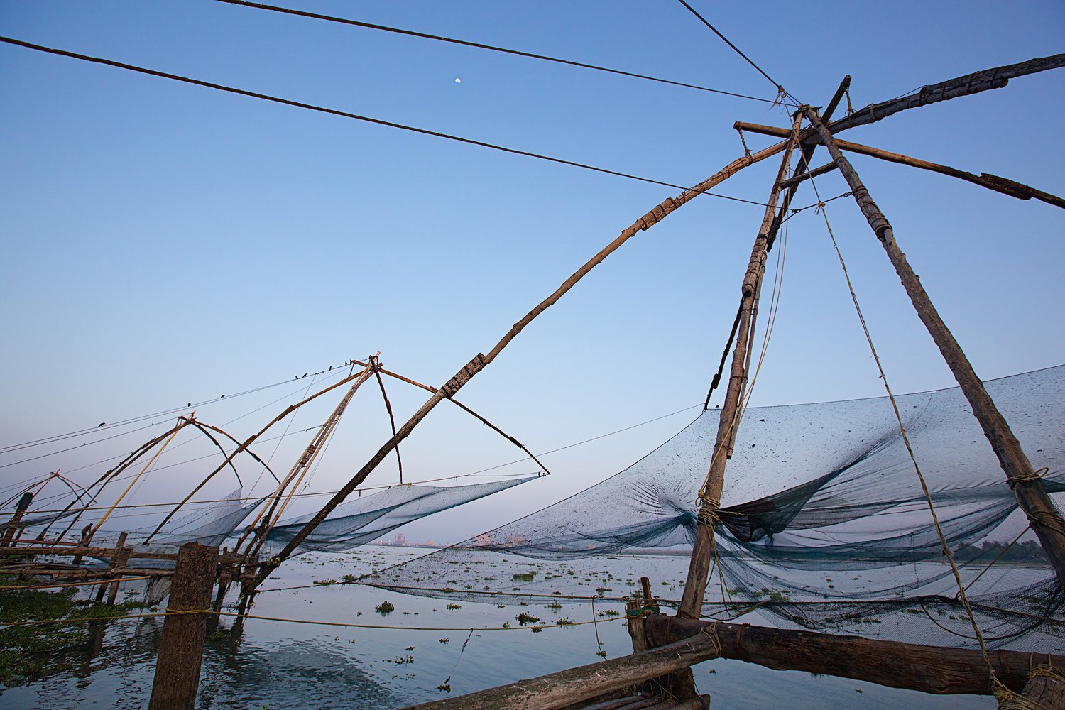 Chinese+Fishing+Nets.jpg