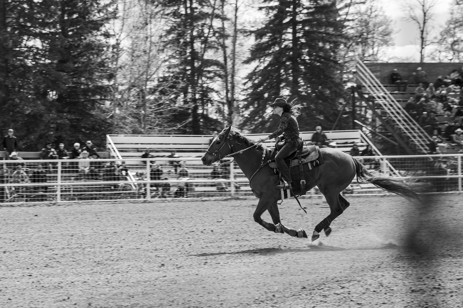 Big+Horn+Rodeo-2.jpg