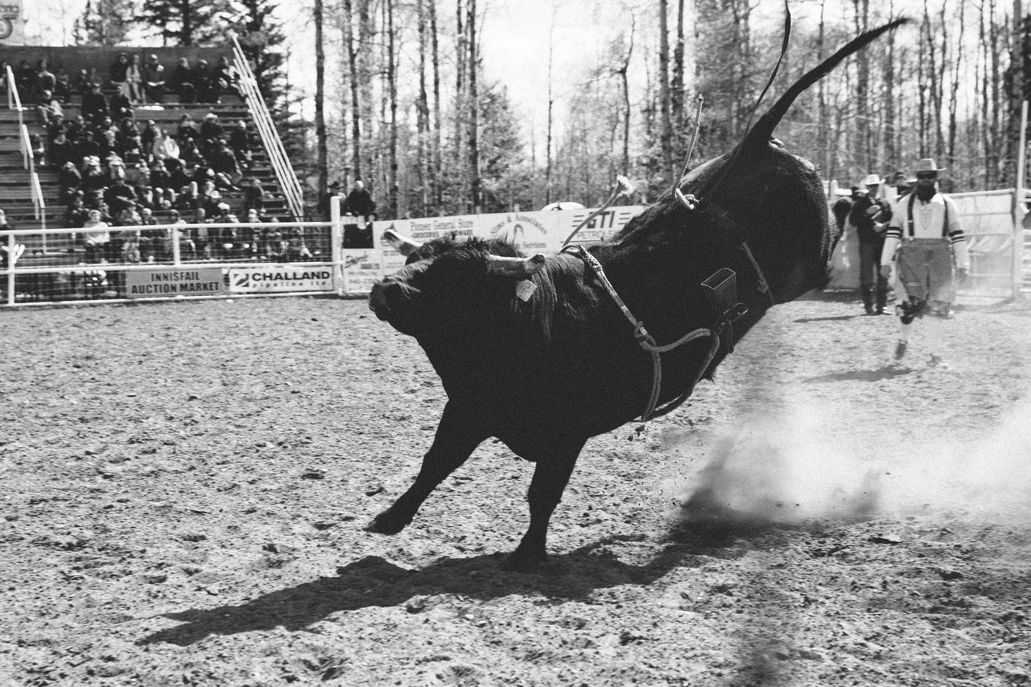 Big+Horn+Rodeo-13.jpg