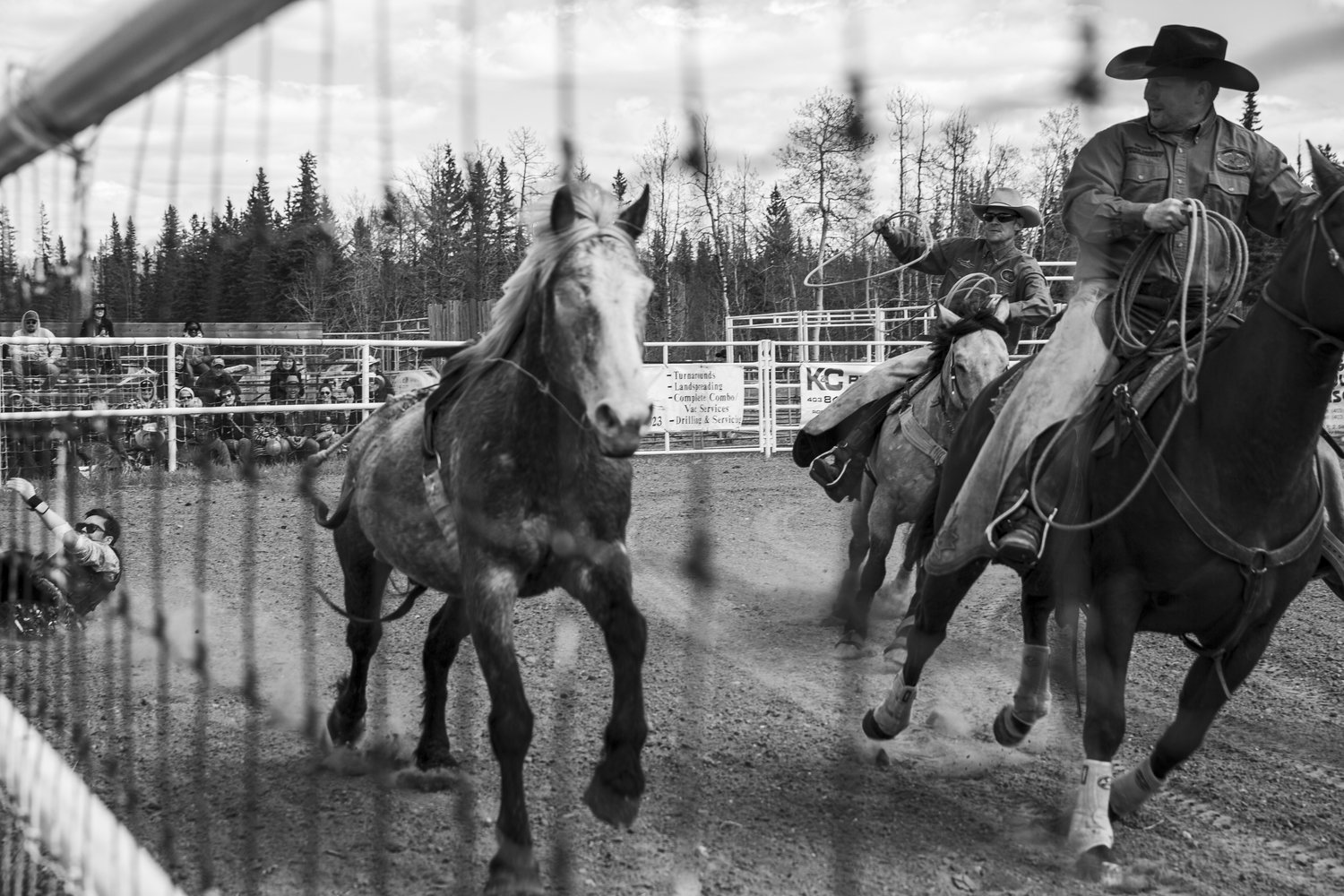 Big+Horn+Rodeo-5.jpg