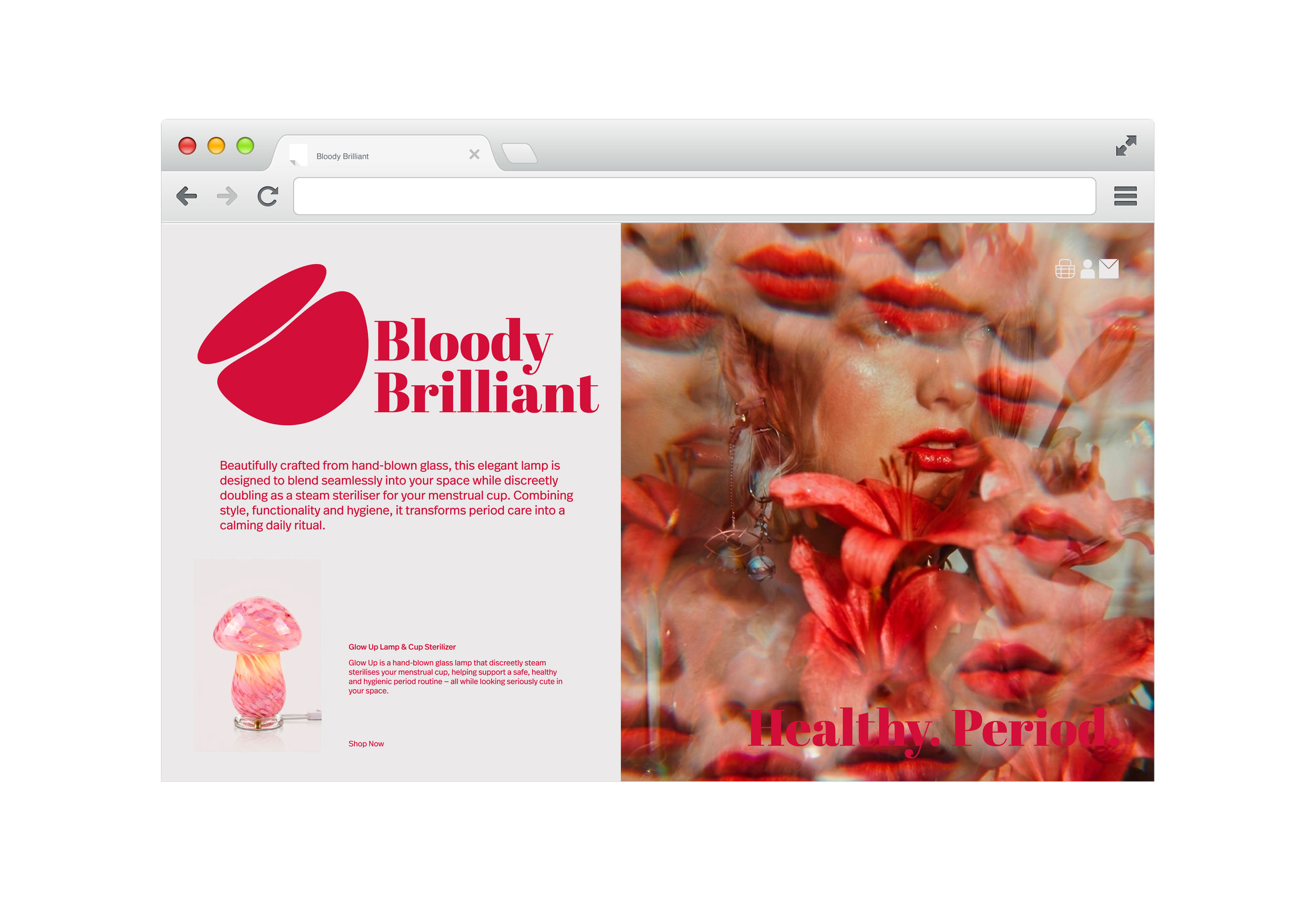 BB Browser NB-05.png