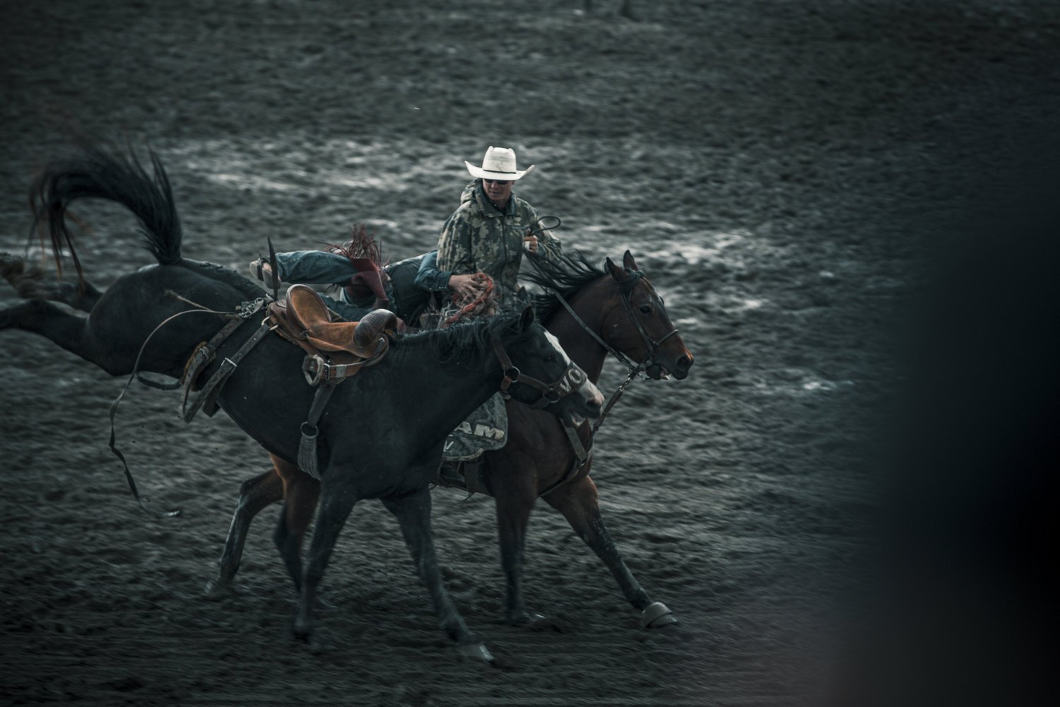 Rocky+Rodeo-2.jpg