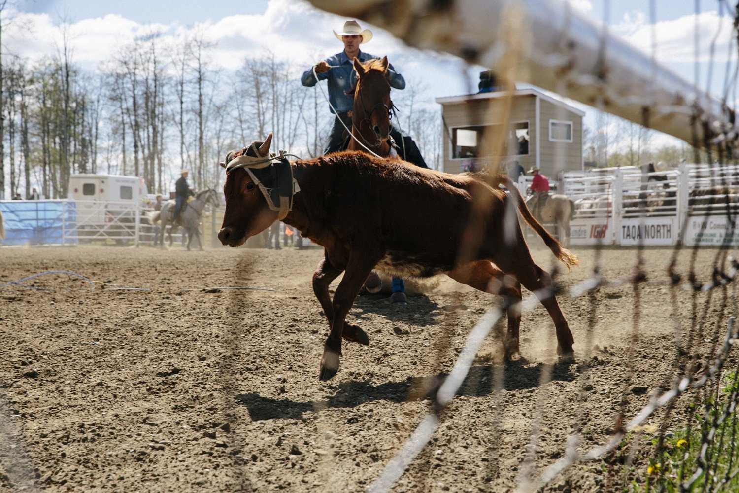 Big+Horn+Rodeo-11.jpg
