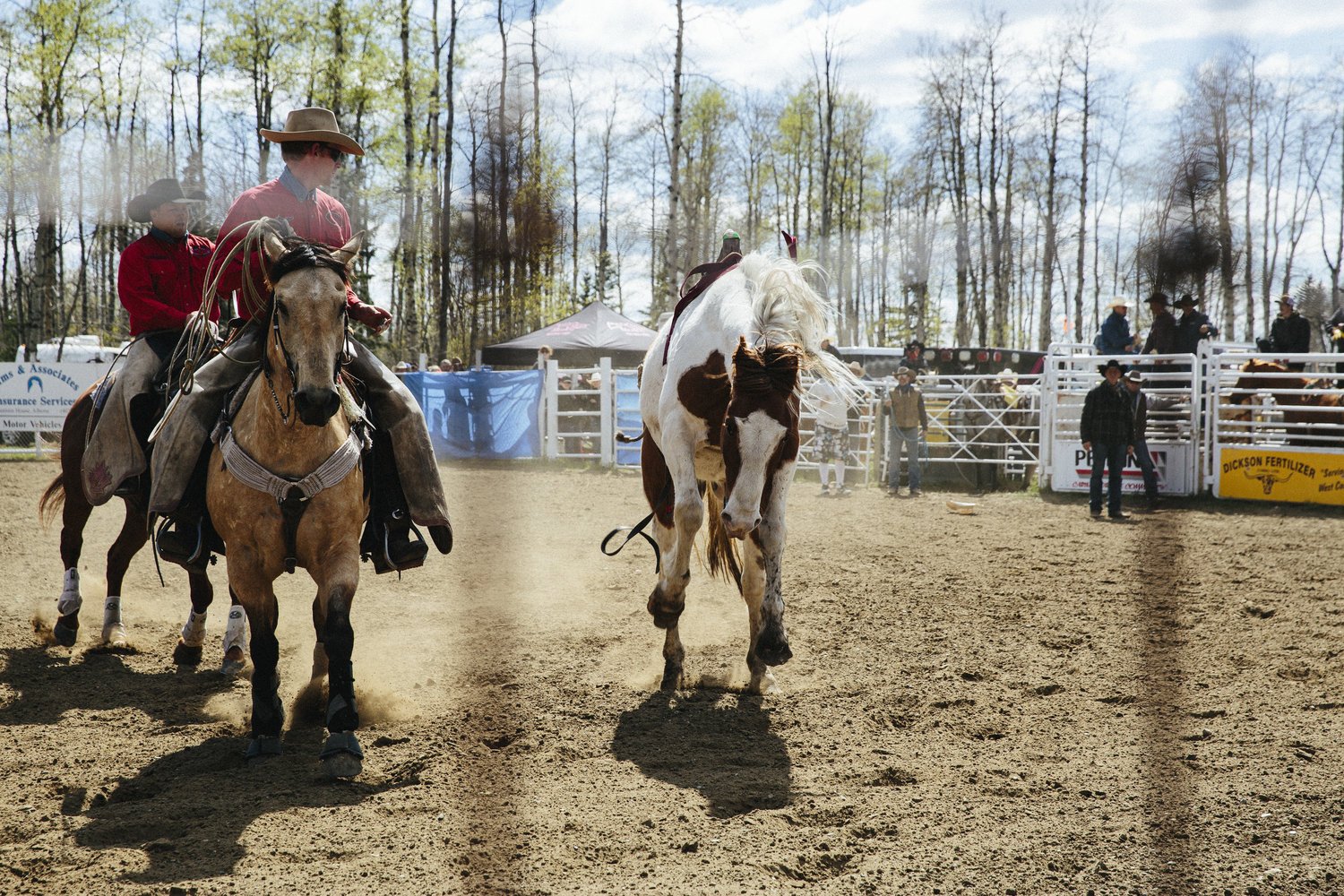 Big+Horn+Rodeo-8.jpg