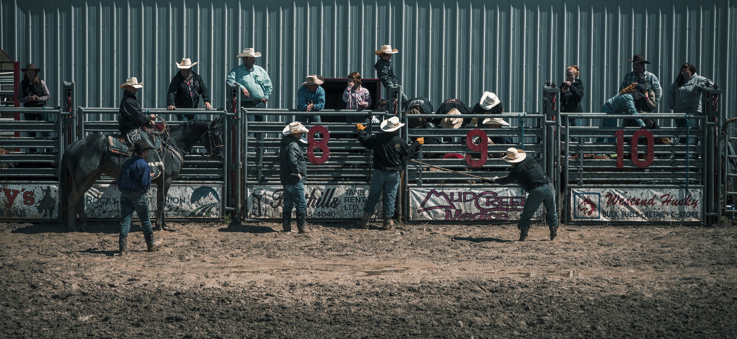 Rocky+Rodeo-4.jpg