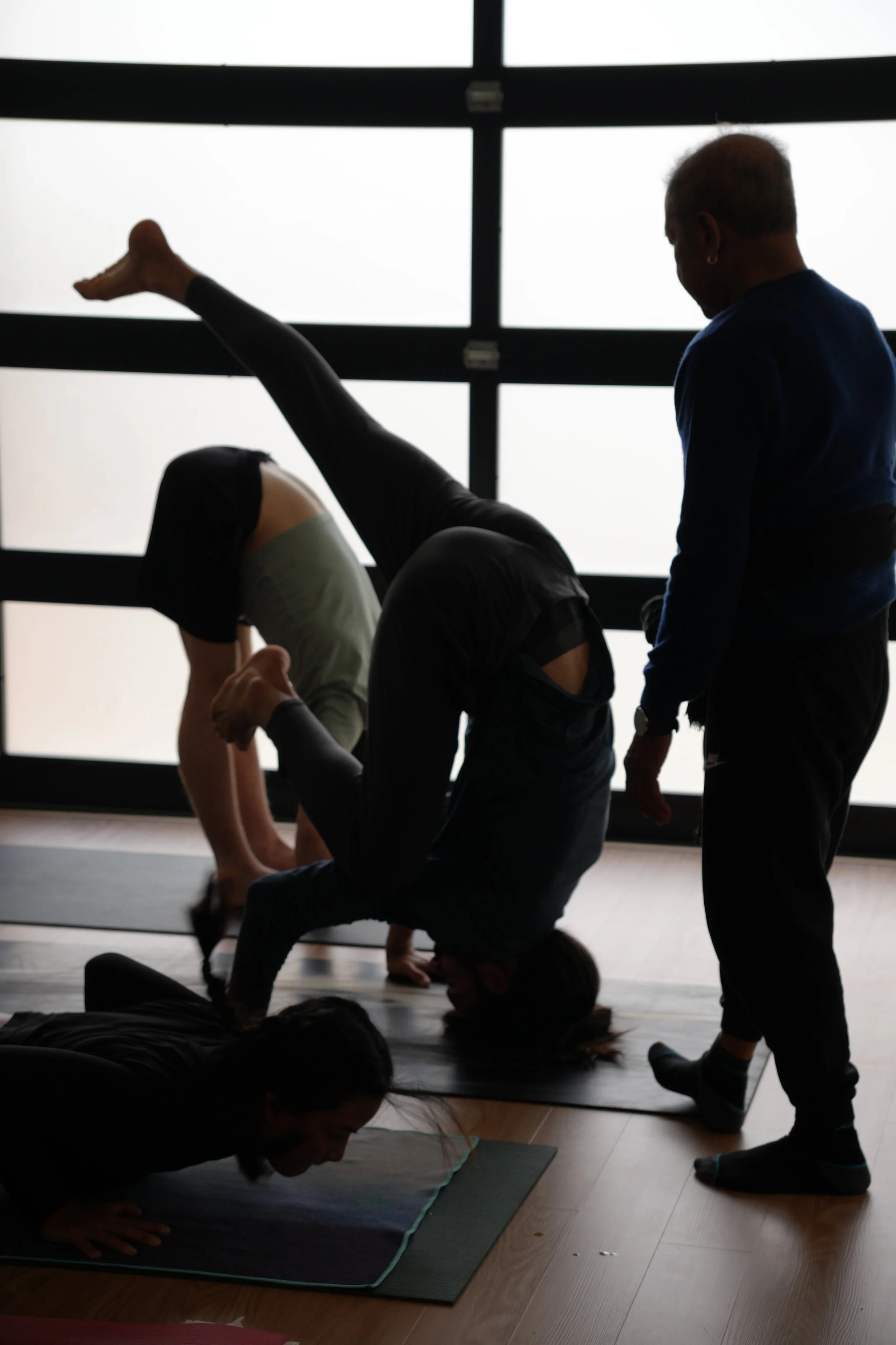 Manju P. Jois teaching Caio Eka Pada Bakasana A, Advanced Series, Encinitas