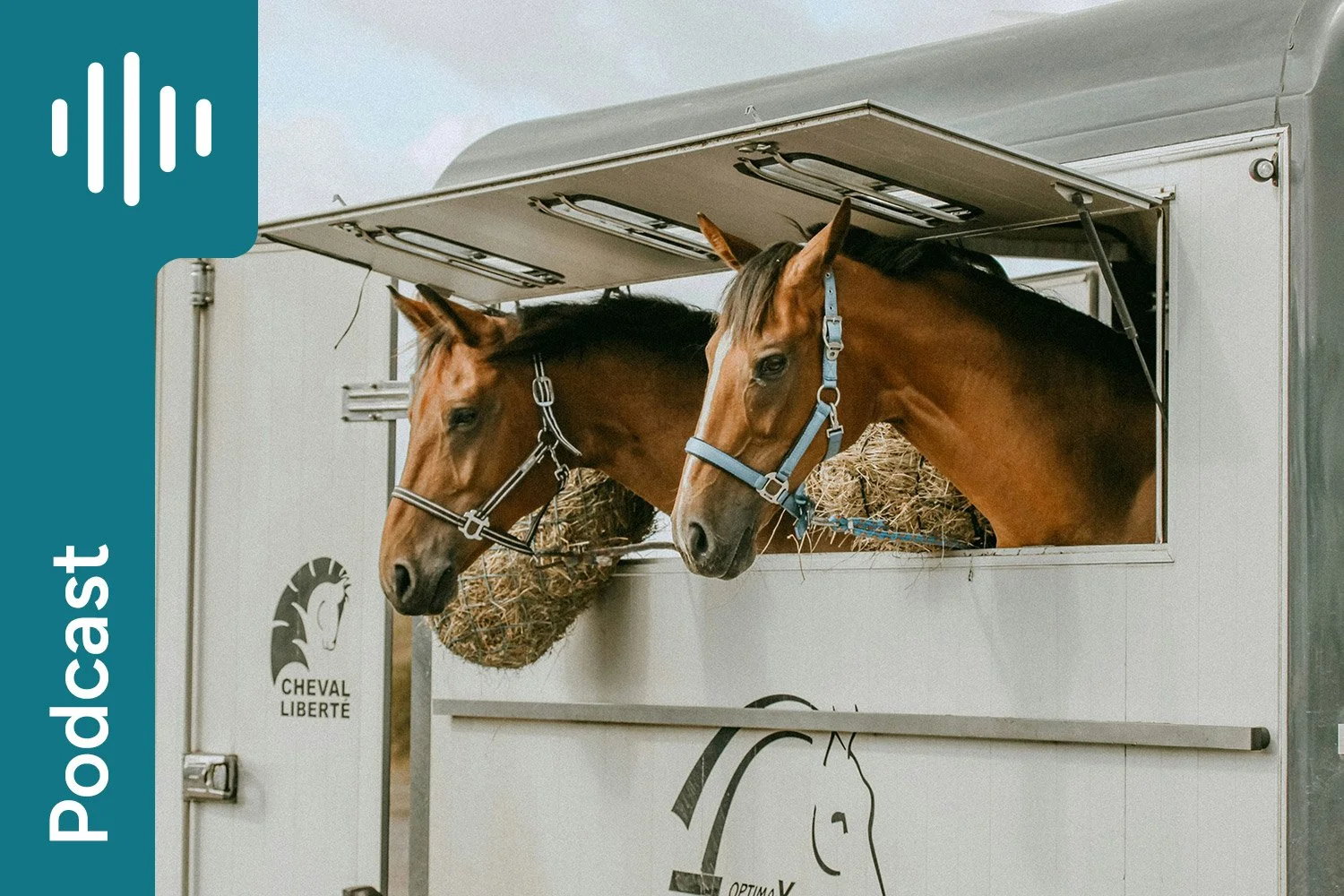 Feeding horses when away from home
