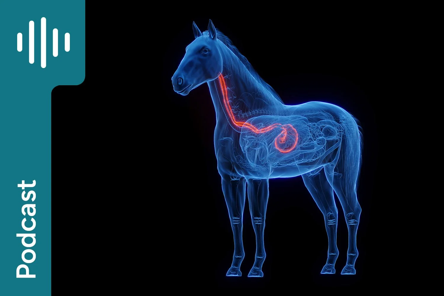 A journey down the gastrointestinal tract