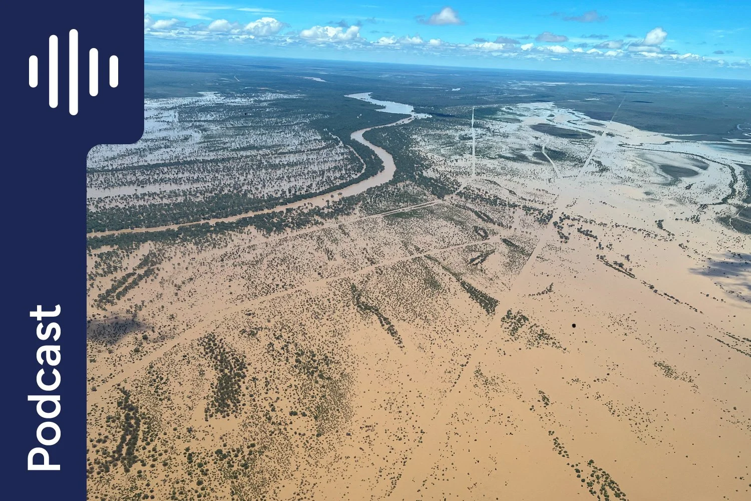 Natural Disaster Horse Nutrition: What to Feed When Everything Changes