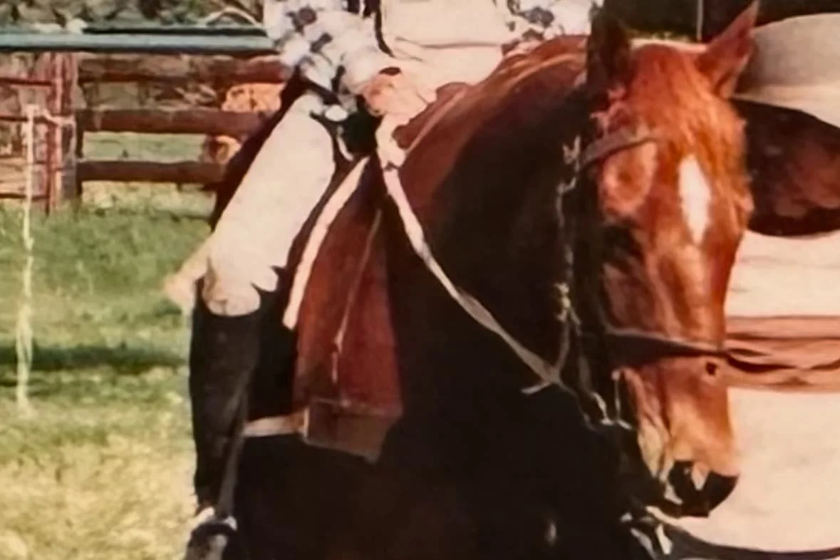 The Day My Horse Tried to Tell Me