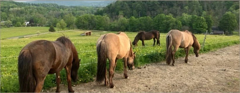 track-systems-image 2.jpg