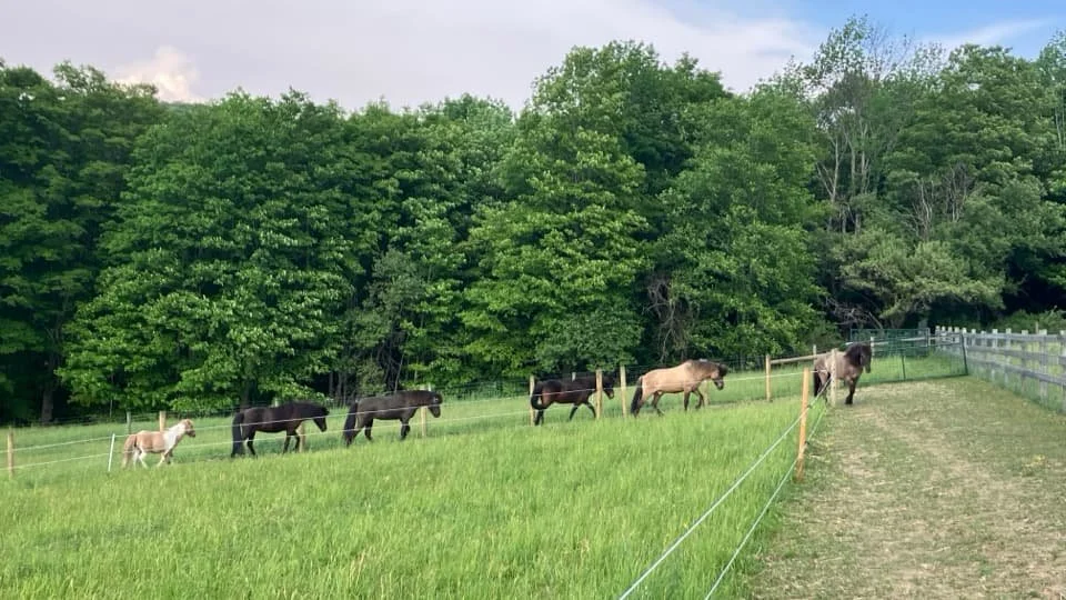 track-systems-image 3.jpg