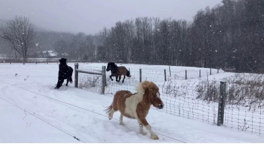 track-systems-image 4.jpg