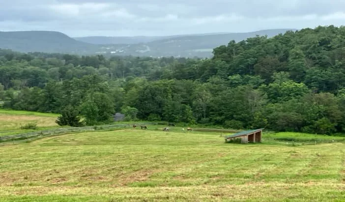 track-systems-image 6.jpg