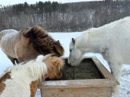 track-systems-image 7.jpg