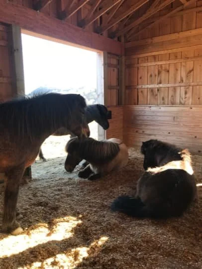 track-systems-image 8.jpg