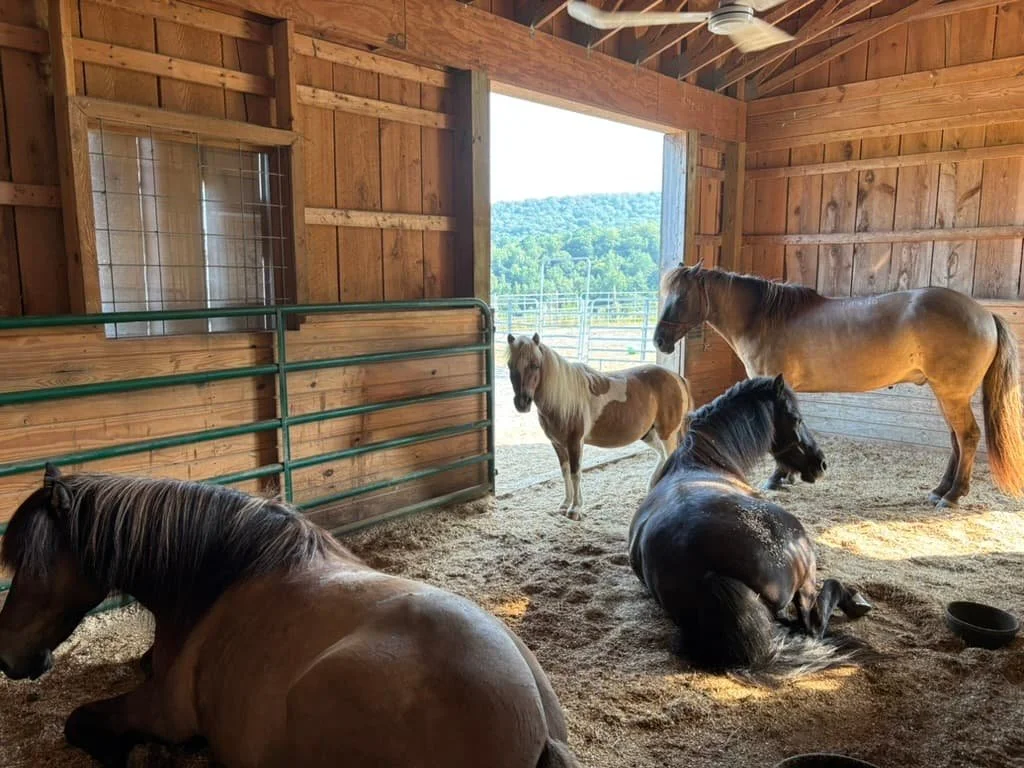 track-systems-Image 9.jpg