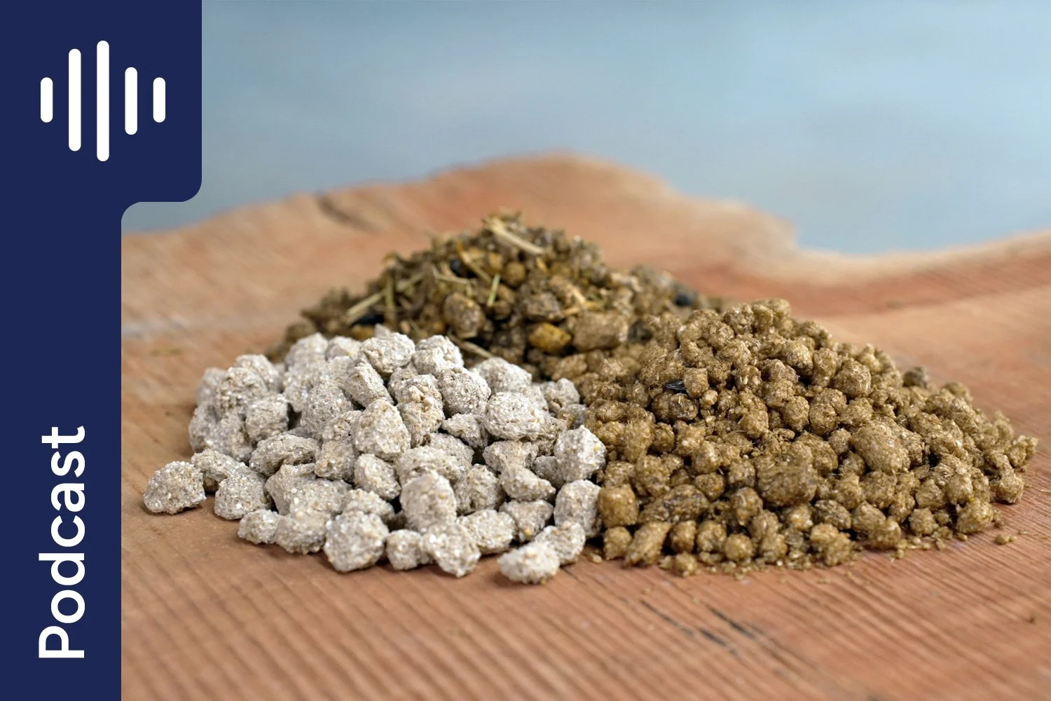 Feeding Grain Safely to Horses: Cooked vs Uncooked and Why It Matters (a lot!) for Gut Health