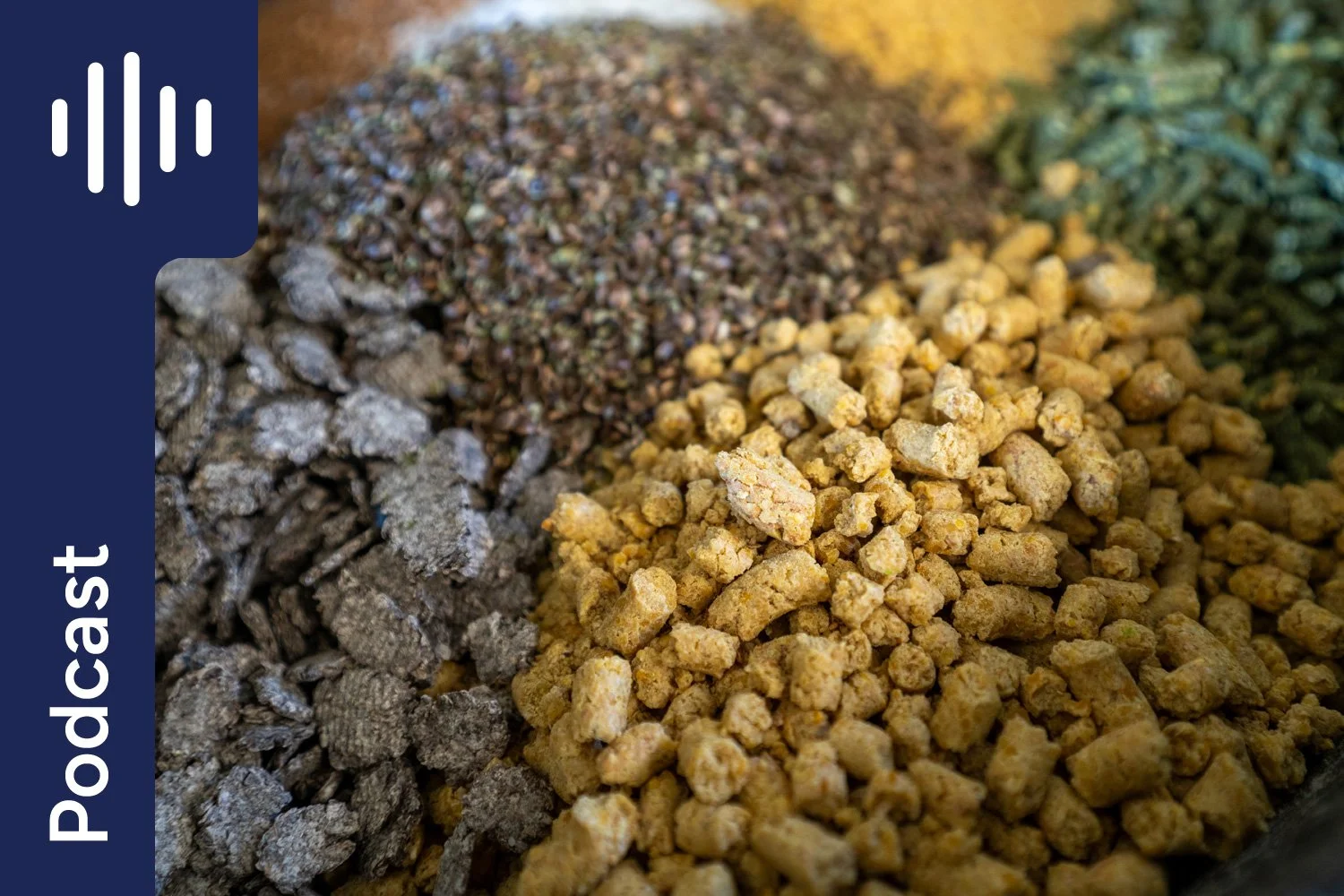 My 5 Favourite Weight Gain Ingredients for Horses