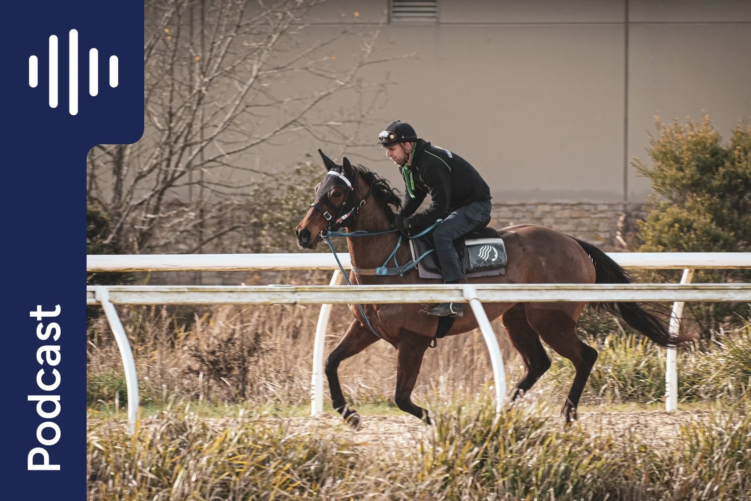 Gut Health: How Your Horse’s Hindgut Microbes Affect Performance