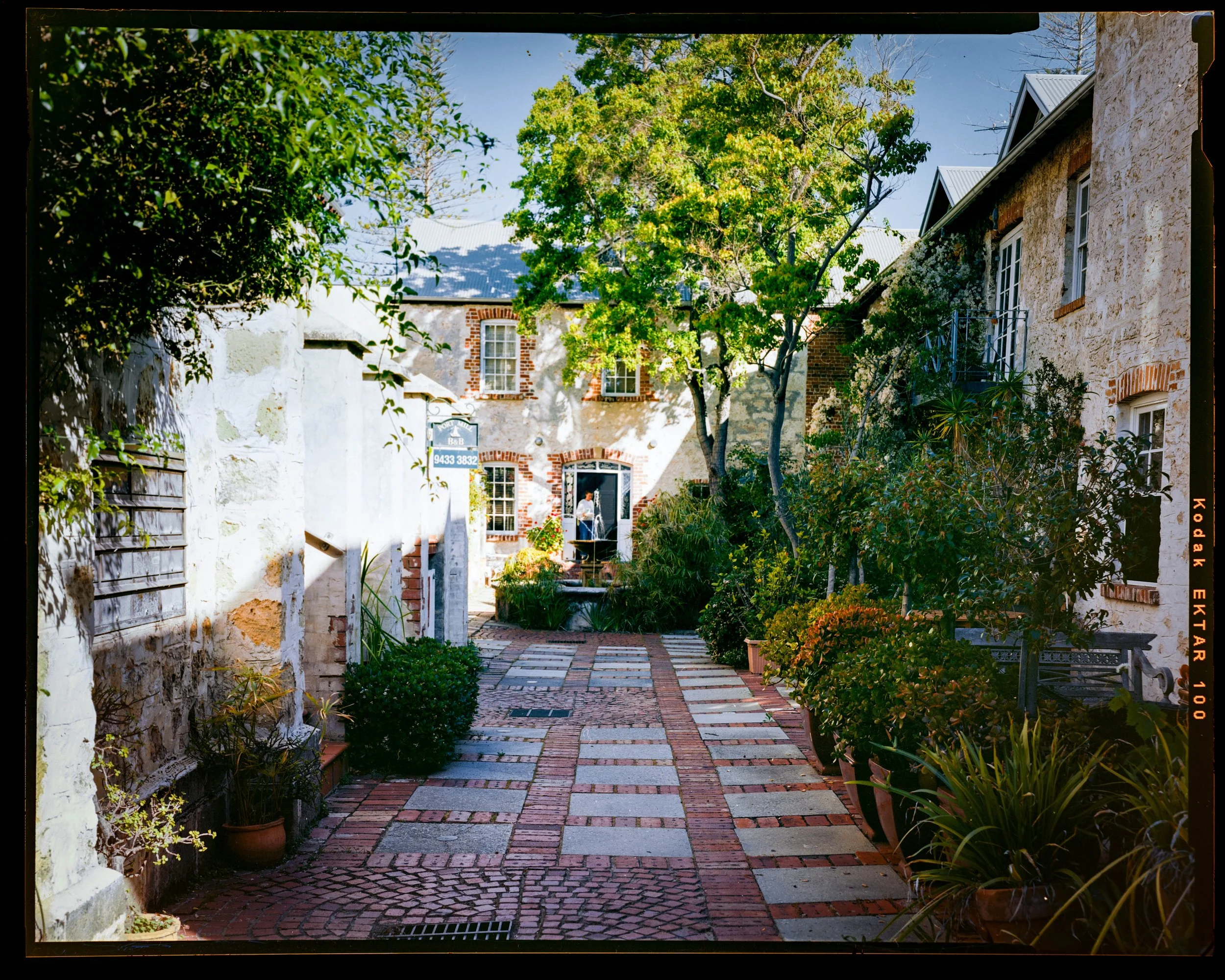 4x5 Smaller (1 of 3).jpg