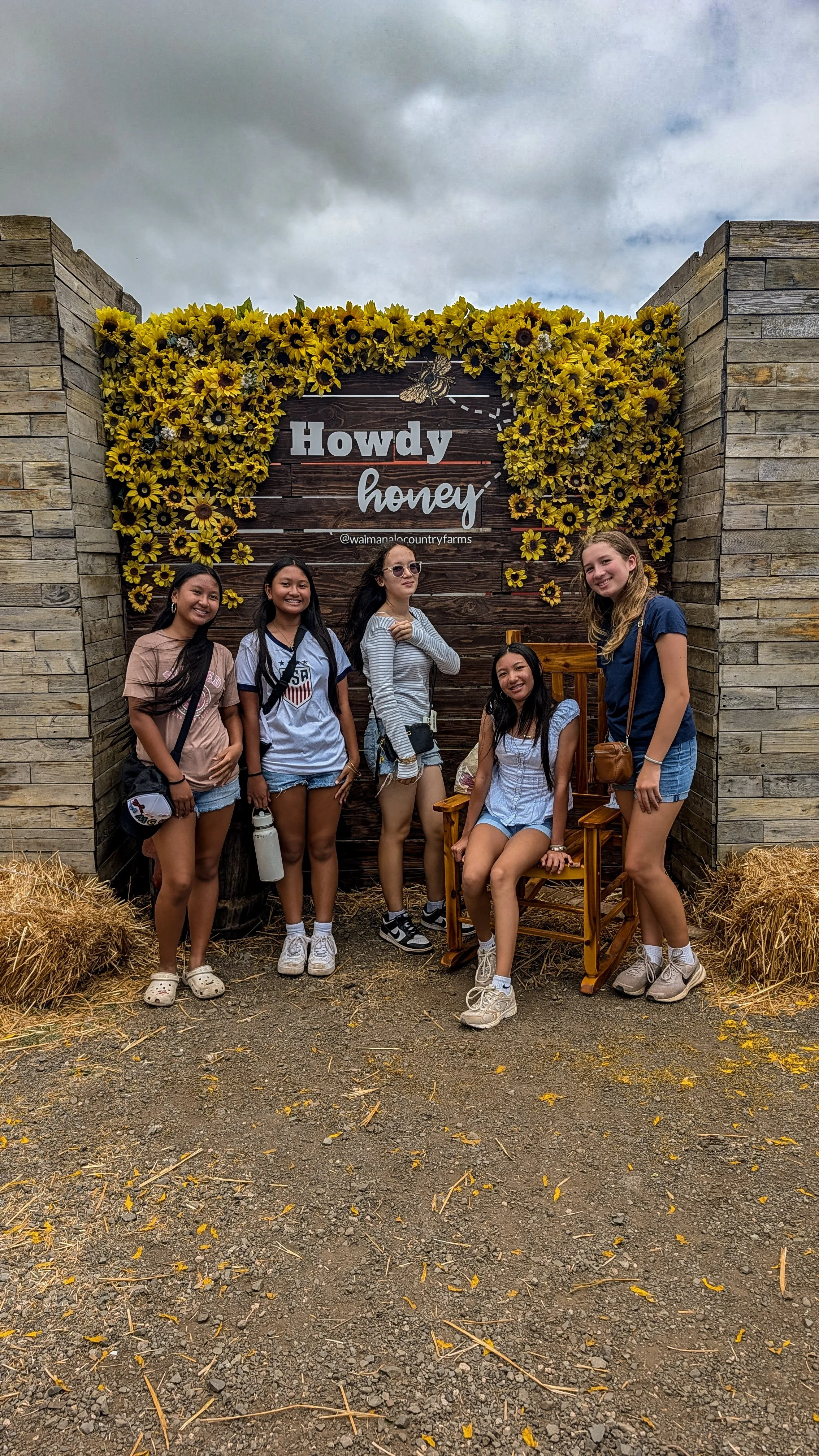 Glorify Sunflowers (2).jpg