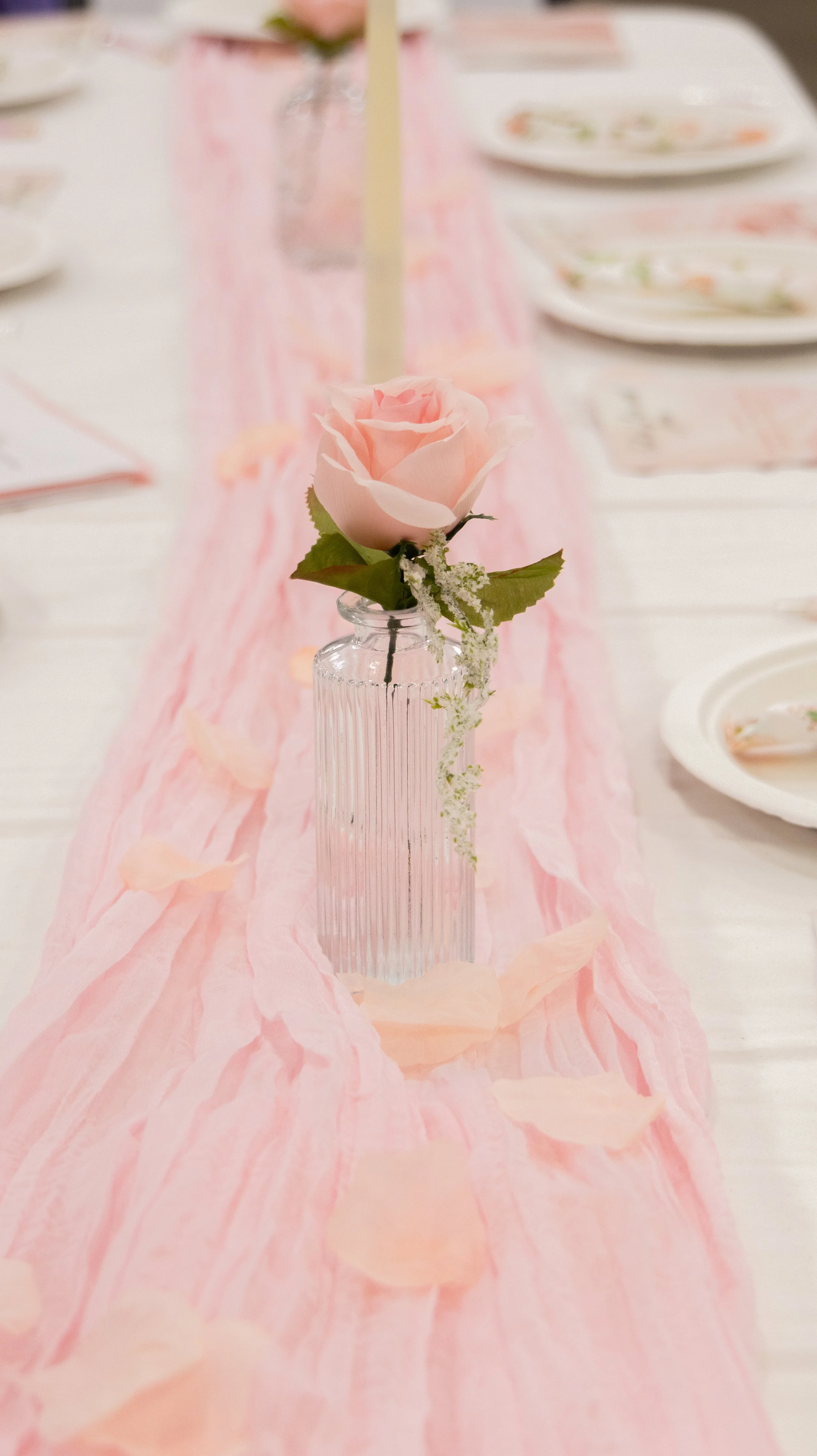 IMG_8199.jpg