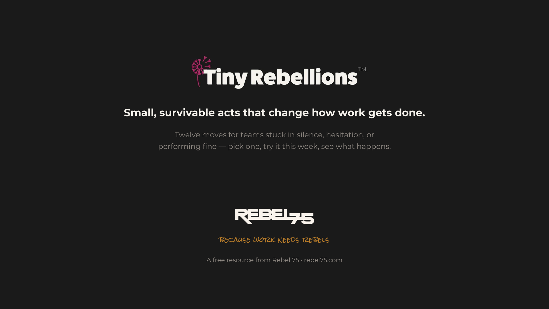 Image describing the available Tiny Rebellions Quick Start Guide (Small, survivable acts that change how work gets done.)
