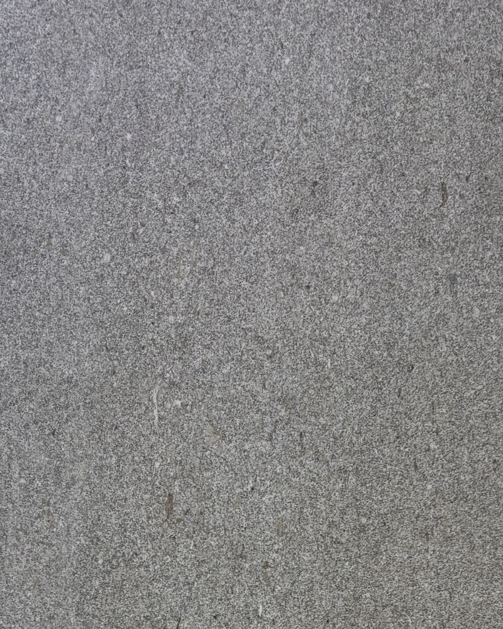 West Beige Porcelain Tile 12” x 24” — $2.95 / sq ft
