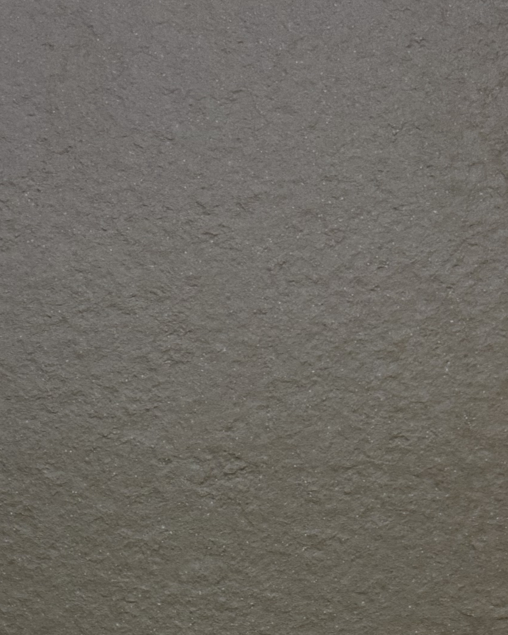 Vision Fossil Porcelain Tile 12” x 24” — $2.95 / sq ft