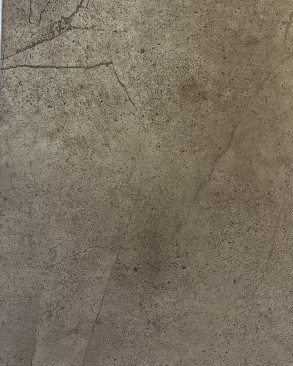 St Morits Coffee Porcelain Tile 12” x 24” — $2.95 / sq ft
