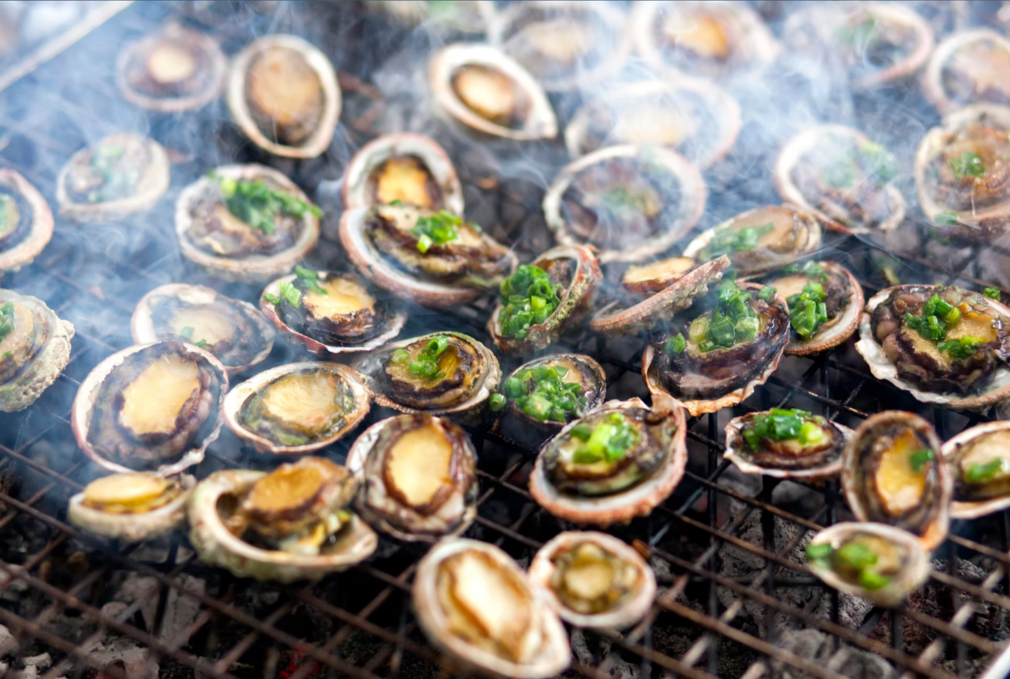 amanoi-ninh-thuan (7).png