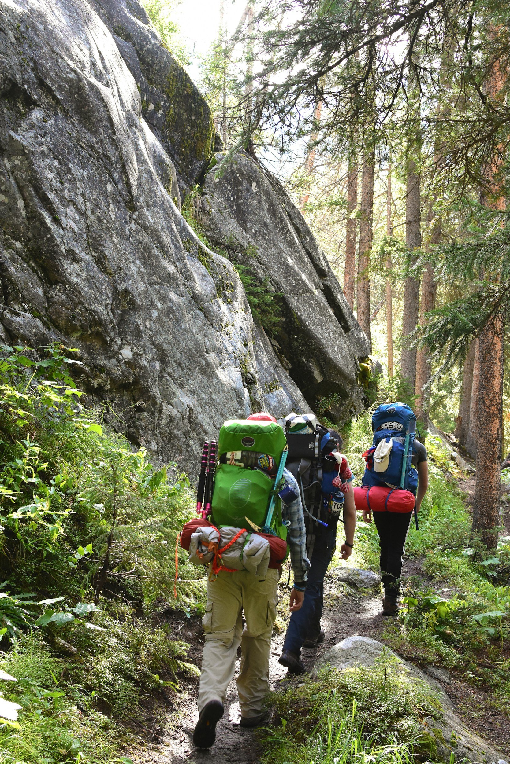 Three hikers with large backpacks walking on a forest trail beside large rocks and trees.