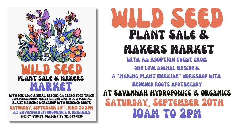 Wild Seed Plant and Makers Market 