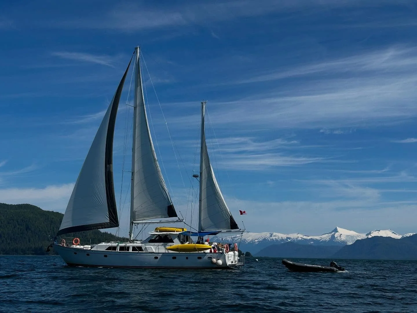 My home away from home, the beautiful Island Odyssey with the amazing Alaskan peaks in the background and a short video of an amazing encounter at Anan Creek Bear Observatory in the Tongass National Forest.  It was hard to start the trip home.
#bluew