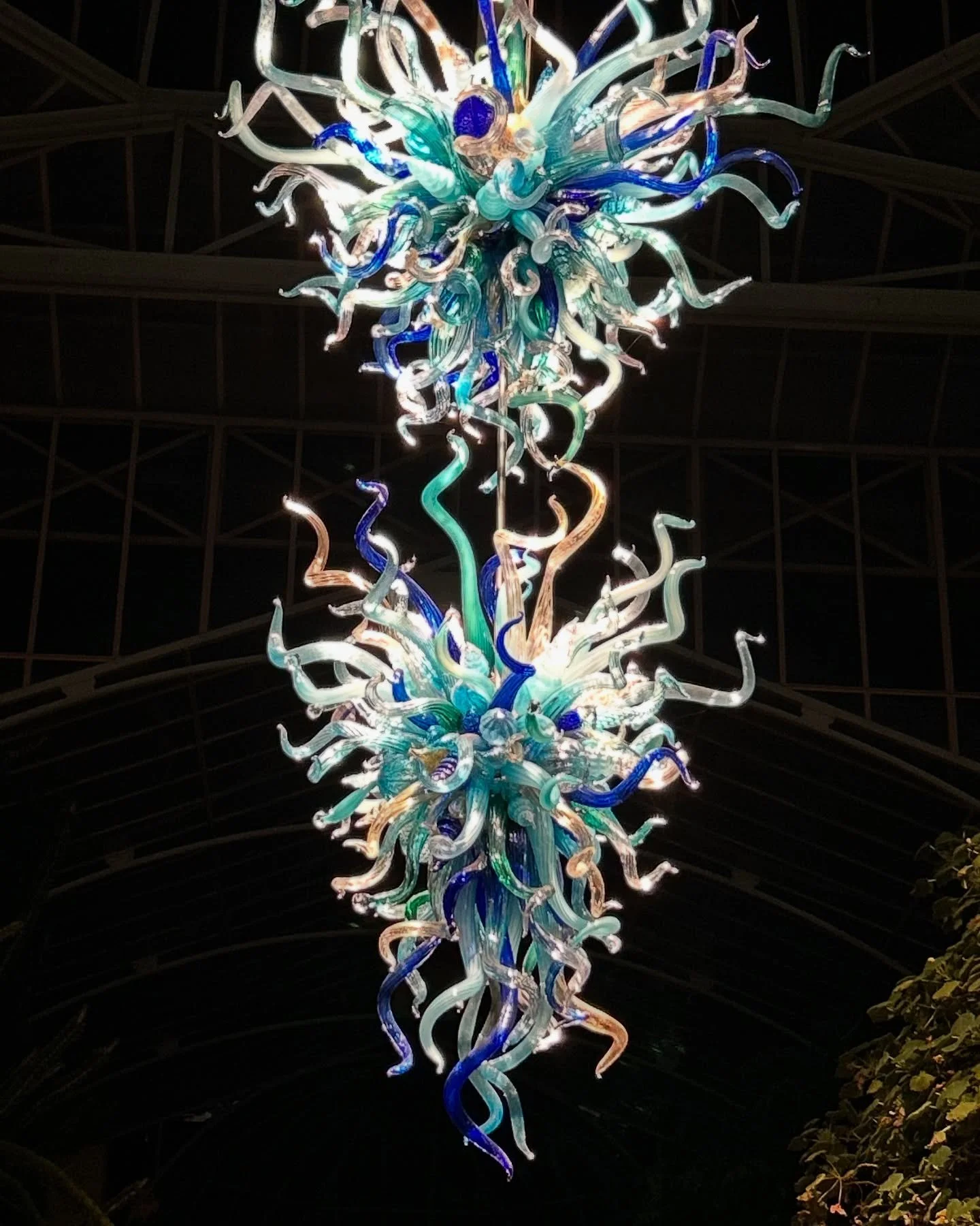 Birthday present to myself - a visit to Chihuly Nights in the Adelaide Botanic Gardens