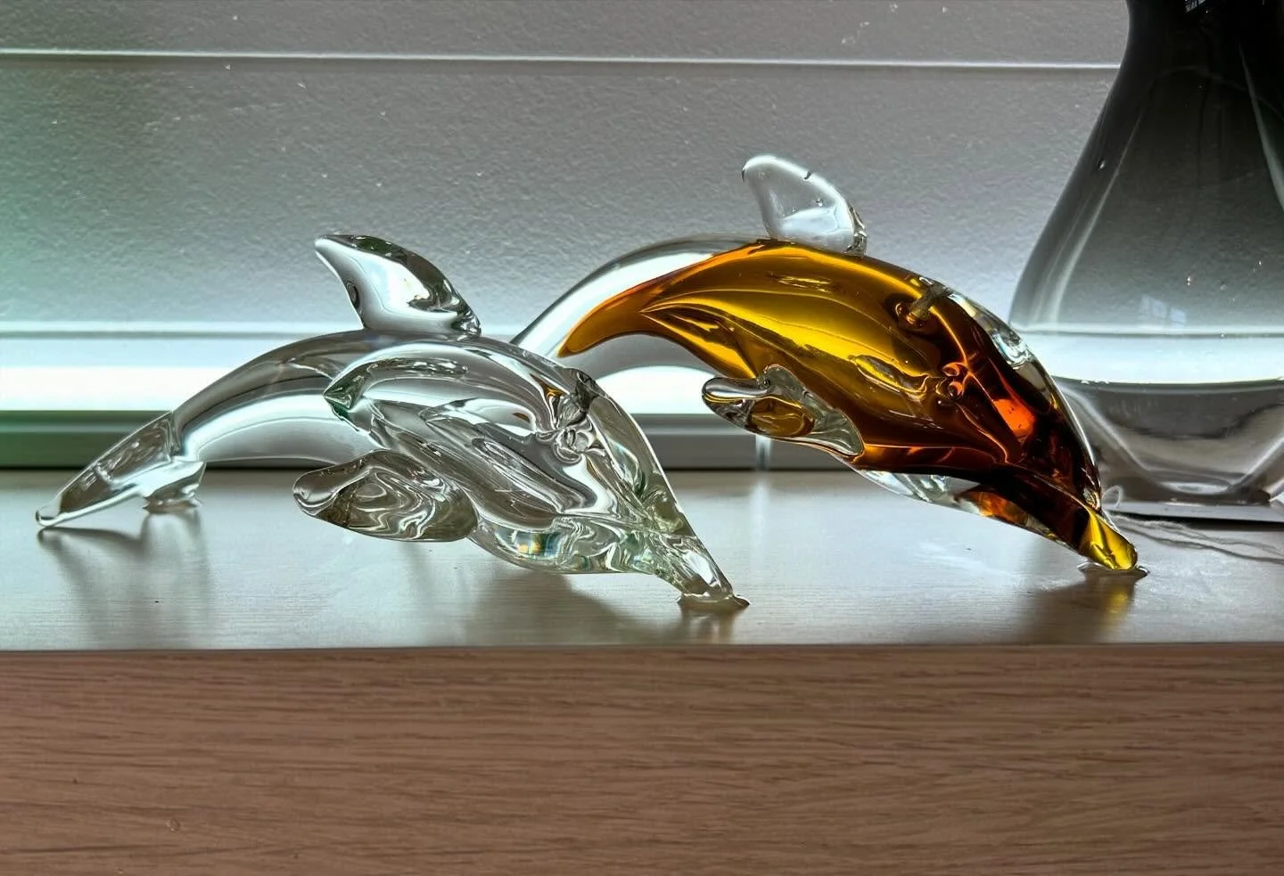 After about 6 months and quite a few trial runs, a beautiful pair of blown glass dolphins have arrived in the gallery - one in clear glass and one in amber.  Many thanks to @nick.doran.adams.glass who now knows more about common dolphin anatomy than 