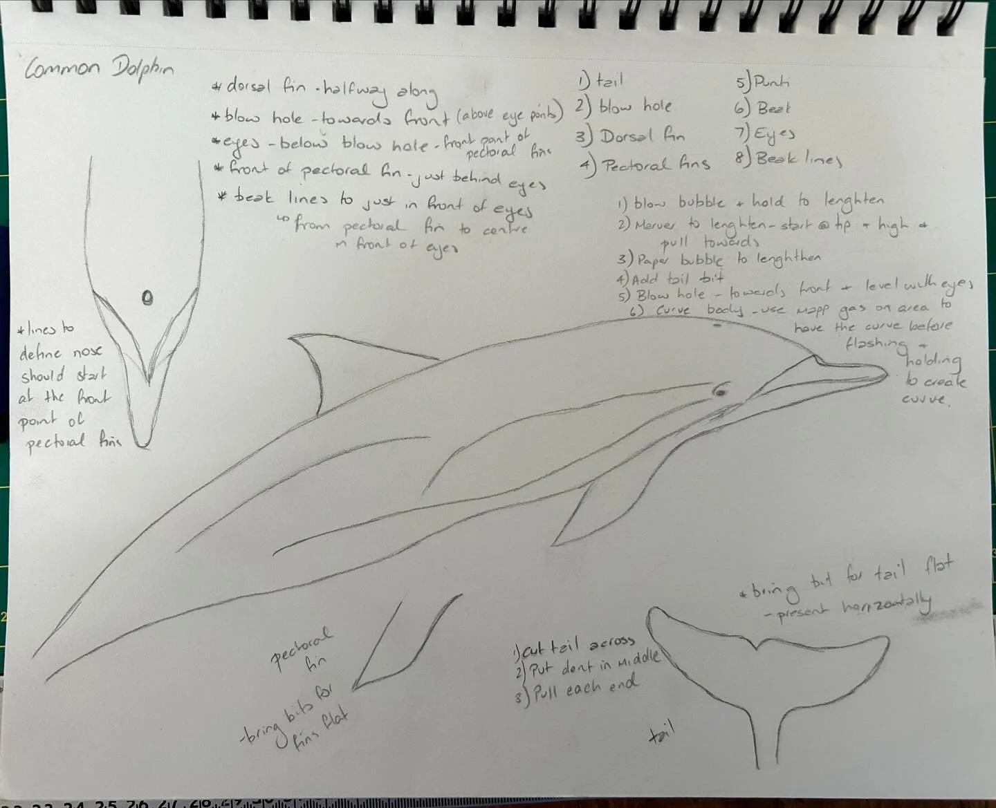 The notes of how to blow a glass dolphin - permanently being refined along with the process of making the dolphin.  I&rsquo;m sure it would be easier if I didn&rsquo;t want the dolphin to be anatomically correct to match the photos,
#dolphin #glassdo
