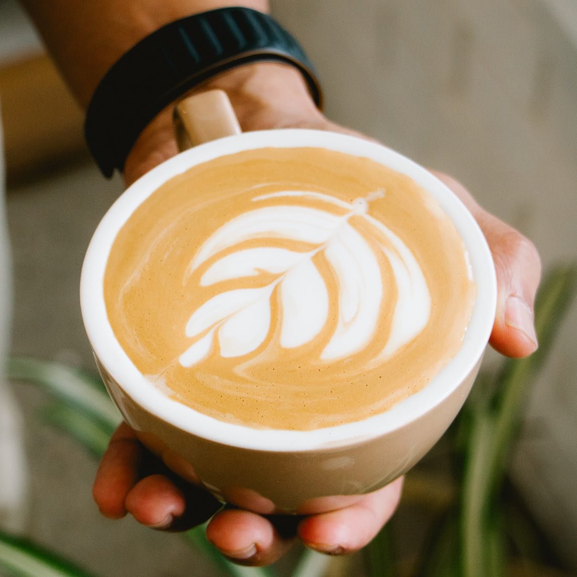 Perfect roast from @quinniescoffeeco 

*

*

*

*

*

*

*

*

*

#thebuoys #thebuoysnelsonbay #Nelsonbay #LovePortStephens #psiloveyou #modernaustraliandish #visitnelsonbay #restaurant #coffee #Coffeelover #beach #holiday #portstephens #nelsonbay  #