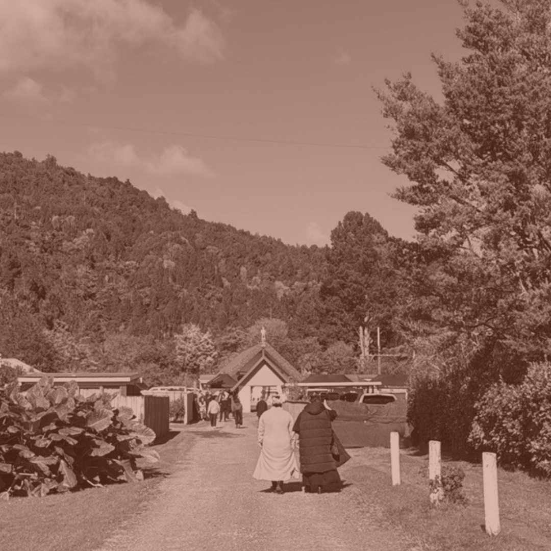 Te ngākau me te tirohanga Māori | A worldview shift