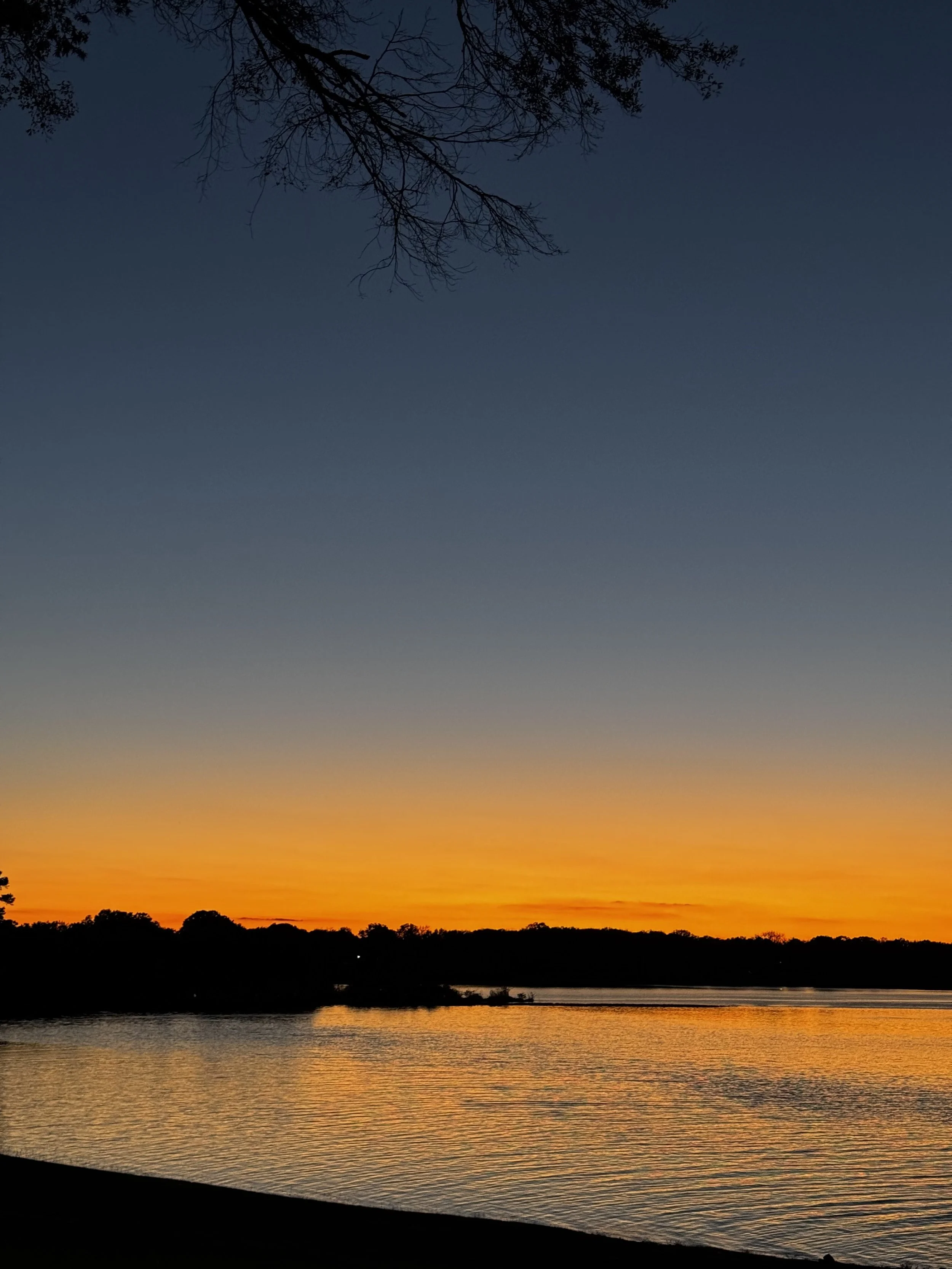 Episode 125: Crickets by the Lakeshore