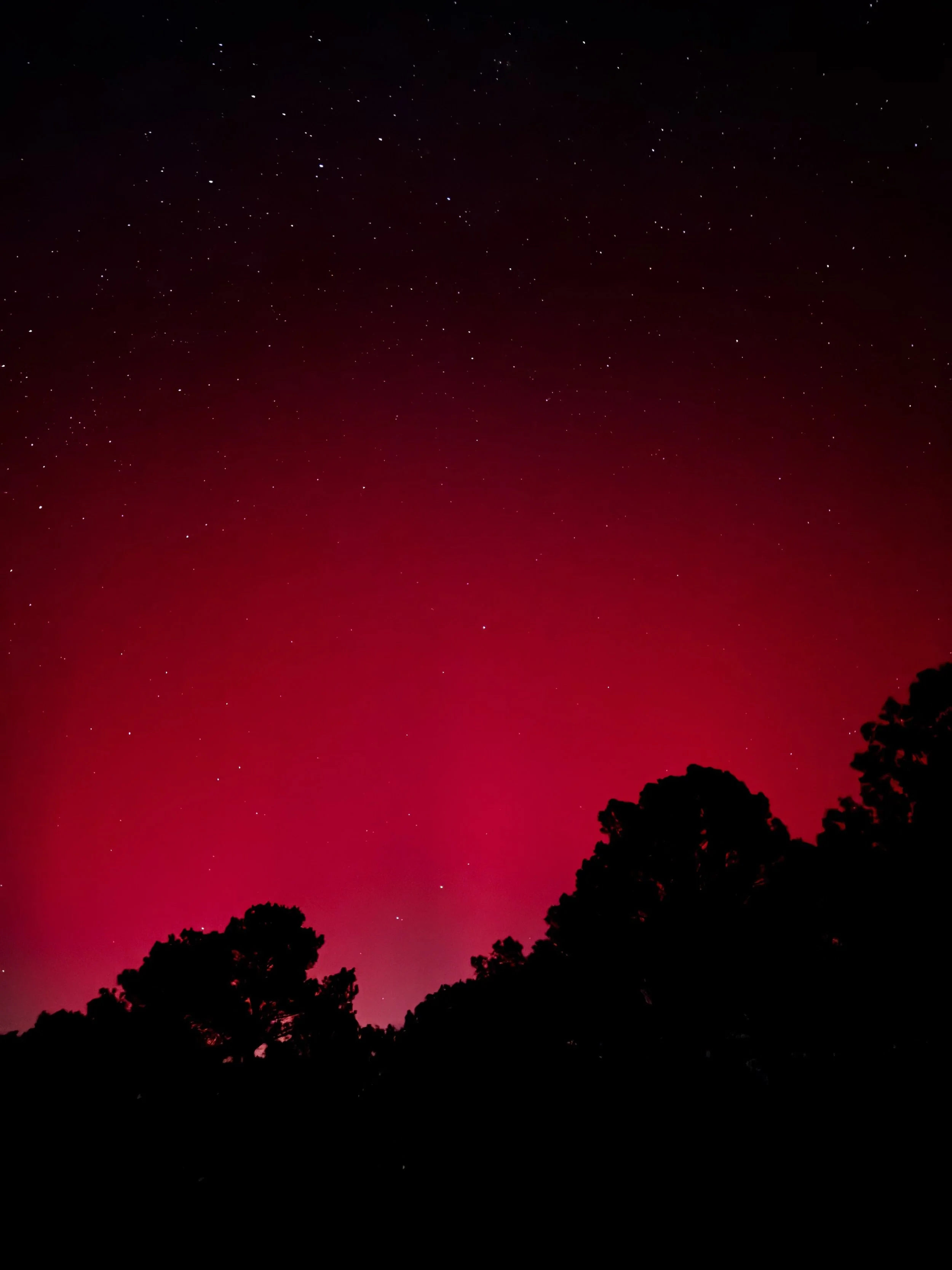 Extended Cut: Whispering Pines under the Northern Lights